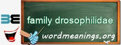 WordMeaning blackboard for family drosophilidae